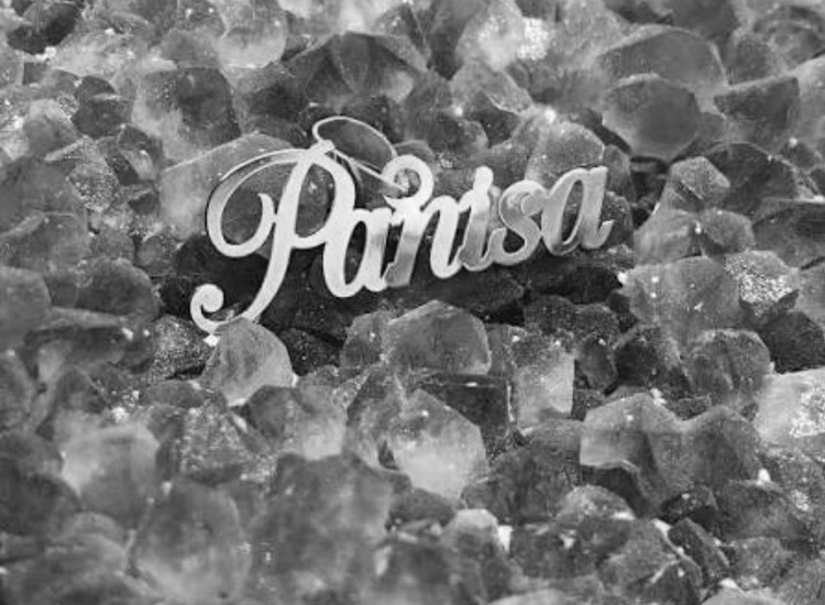 پلاک اویز نقره مدل اسم پانیسا به لاتین panisa